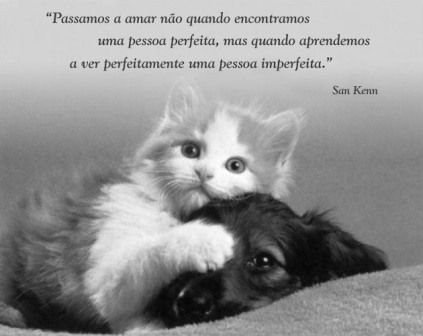 Sin Nombre
