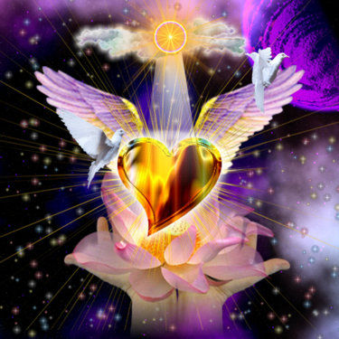 amor de luz
