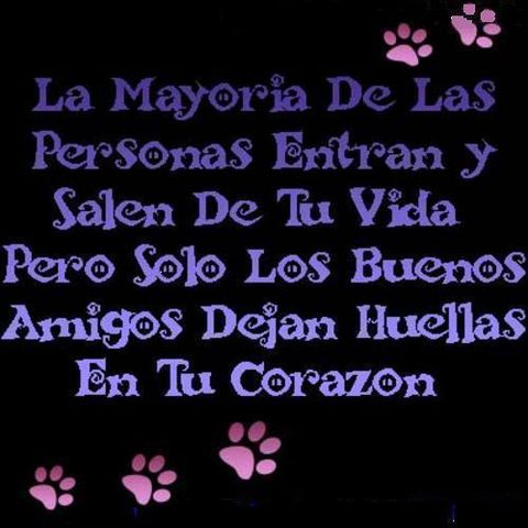 Sin Nombre